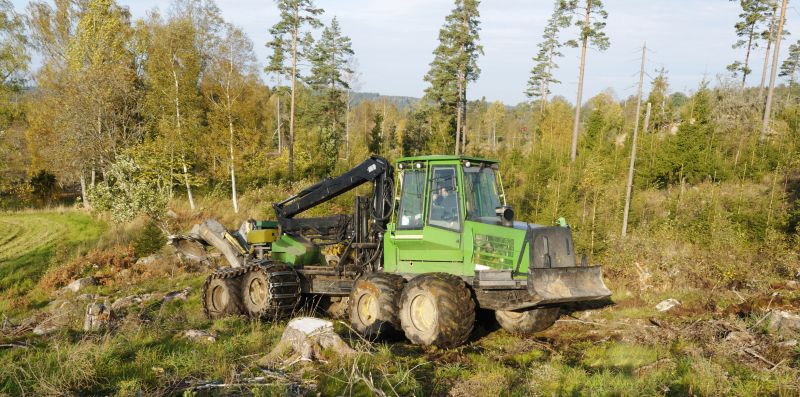 Forestry Clearing in Houston, TX