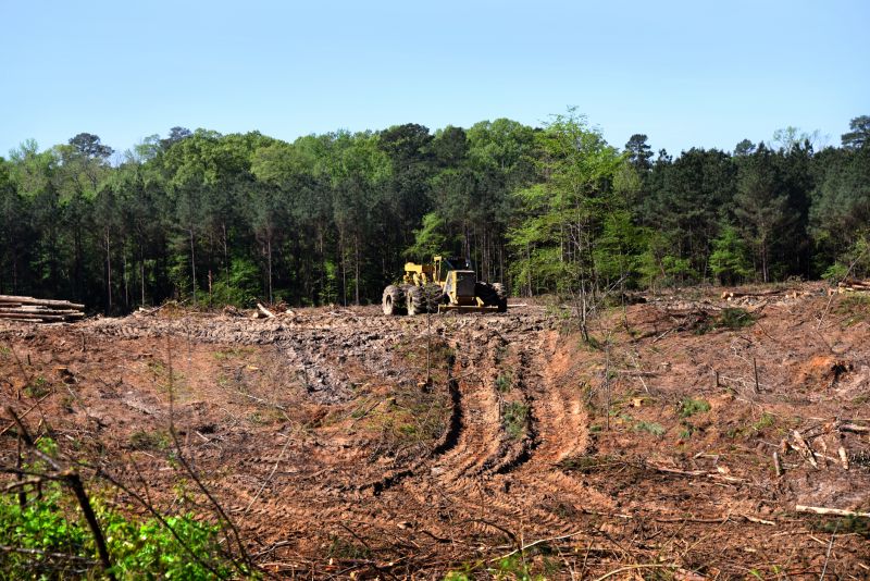 Ground Clearing in Marietta, GA
