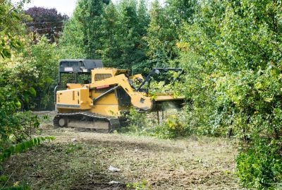 Pool Land Clearing in Houston, TX