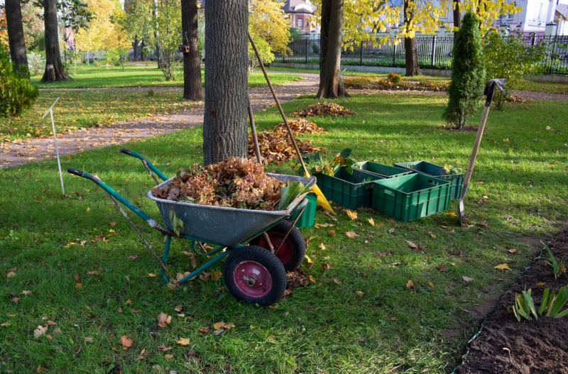 Underbrush Clearing in Salt Lake City, UT