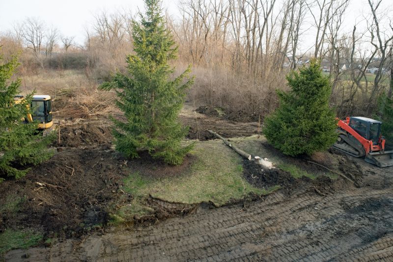 Undergrowth Removal in Atlanta, GA