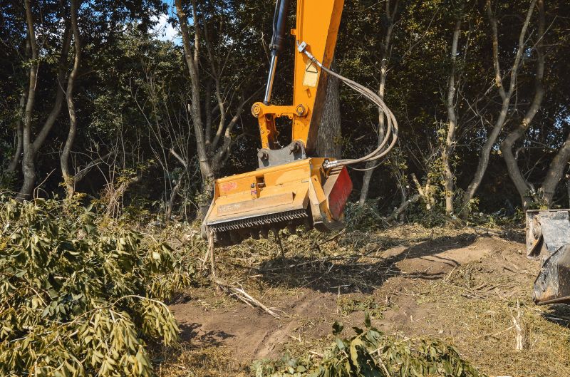 Undergrowth Removal in Houston, TX